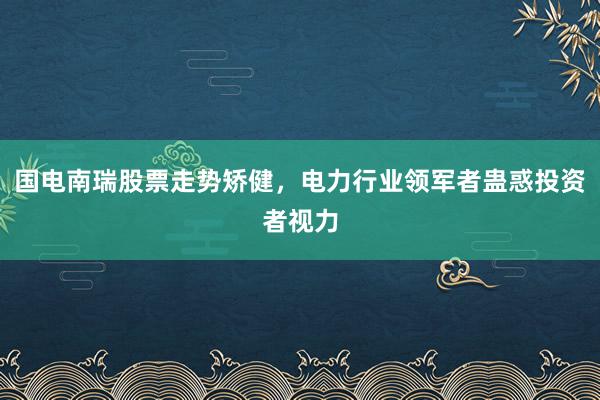 国电南瑞股票走势矫健，电力行业领军者蛊惑投资者视力