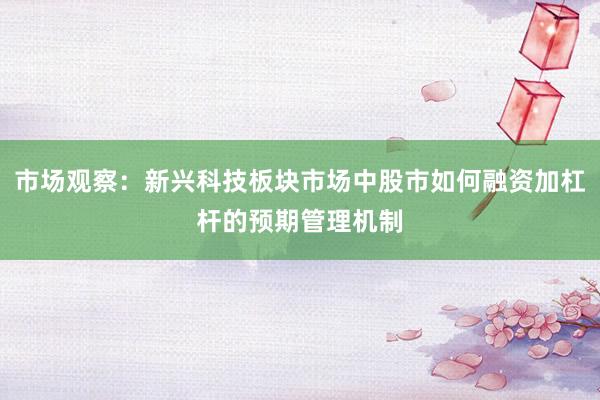市场观察：新兴科技板块市场中股市如何融资加杠杆的预期管理机制