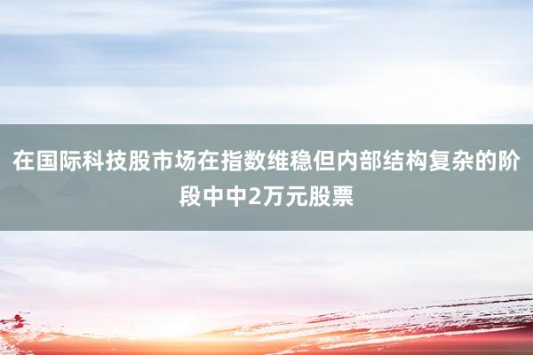 在国际科技股市场在指数维稳但内部结构复杂的阶段中中2万元股票